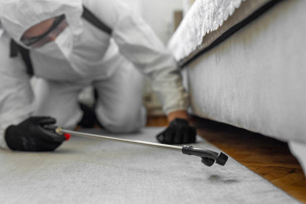 Professional Cockroach Control technician working in Boston, MA