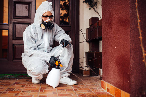 Reliable Cockroach Control contractor in Boston, MA by Nex Pest Control